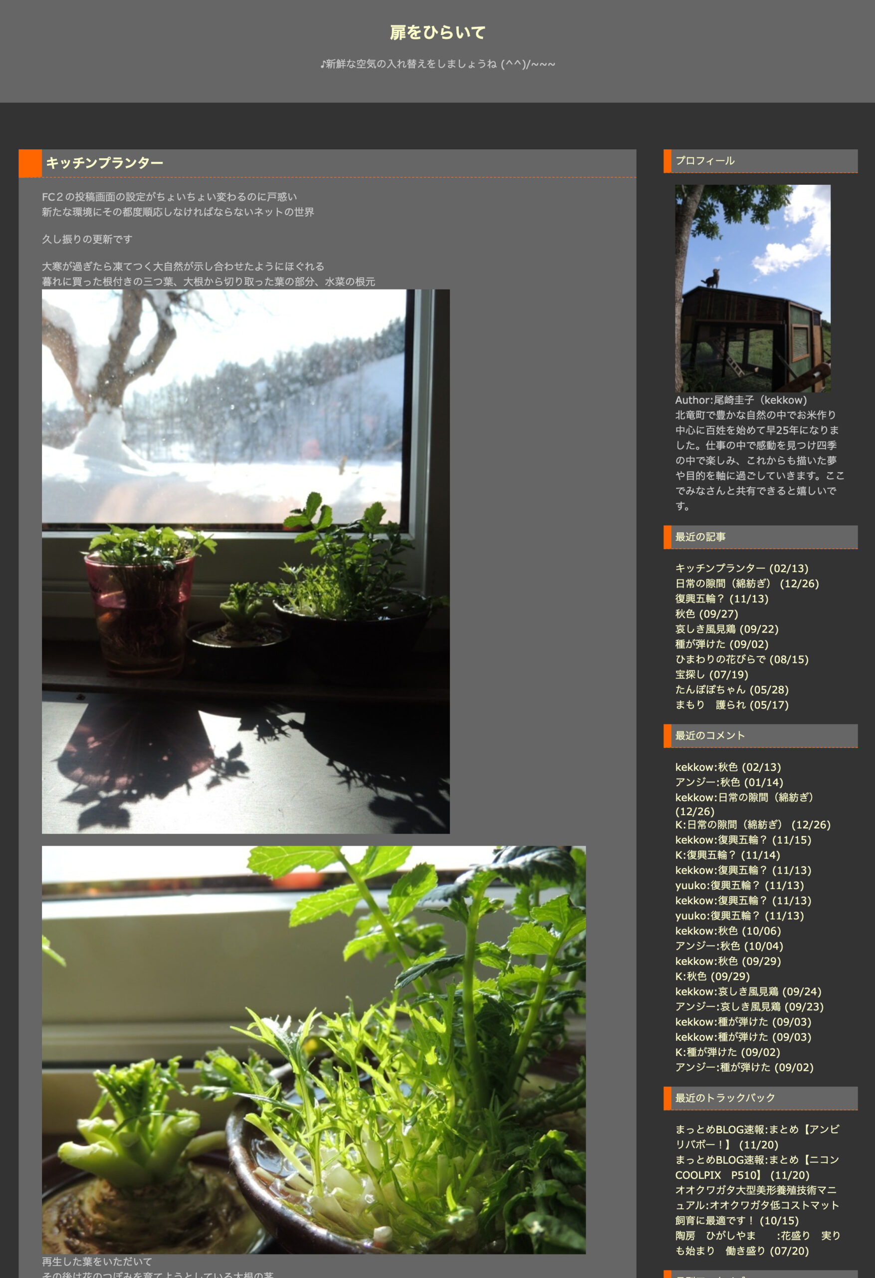 キッチンプランター【扉をひらいて・尾崎圭子さん】