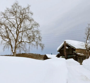 育った家と山：どこか、アクセスしやすい山があれば教えてください。全力で良い森にしますよ【自然下・上井達矢さん仁美さん】
