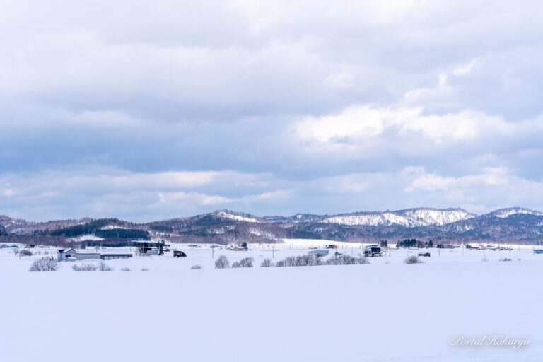 澄み渡る清らかな風景