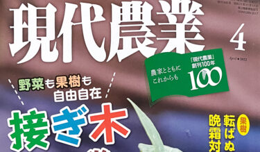 『現代農業』（2022年4月号）特集「接ぎ木虎の巻」に、北海道指導農業士・渡邊靖範氏（北竜町在住）の「メロン割り接ぎ」が掲載