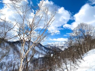 ทิวทัศน์ฤดูใบไม้ผลิอันสดใสแห่งการจากลาและการพบปะ