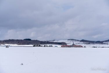 静かに春を待つ時・ご無事を心よりお祈り申し上げます