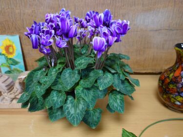 北竜町長 佐野豊 活動報告・3月1日（火）令和４年度当初予算案プレス発表、北竜町集落支援員とミーティング