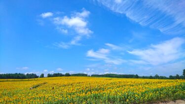 北竜町長 佐野豊 活動報告・3月3日（木）公共施設関連計画ヒアリング