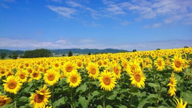Hokuryu Kasabası Belediye Başkanı Yutaka Sano'nun faaliyet raporu: 7 Mart Pazartesi günü Belediye Başkanı, Daire ve Bölüm Şefleriyle toplantı ve Sapporo Gakuin Üniversitesi Ekonomi Fakültesi Profesörü ile tartışma