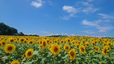 北竜町長 佐野豊 活動報告・3月14日（月）町長部局課長等ミーティング、終日書類整理、職員と打ち合わせ