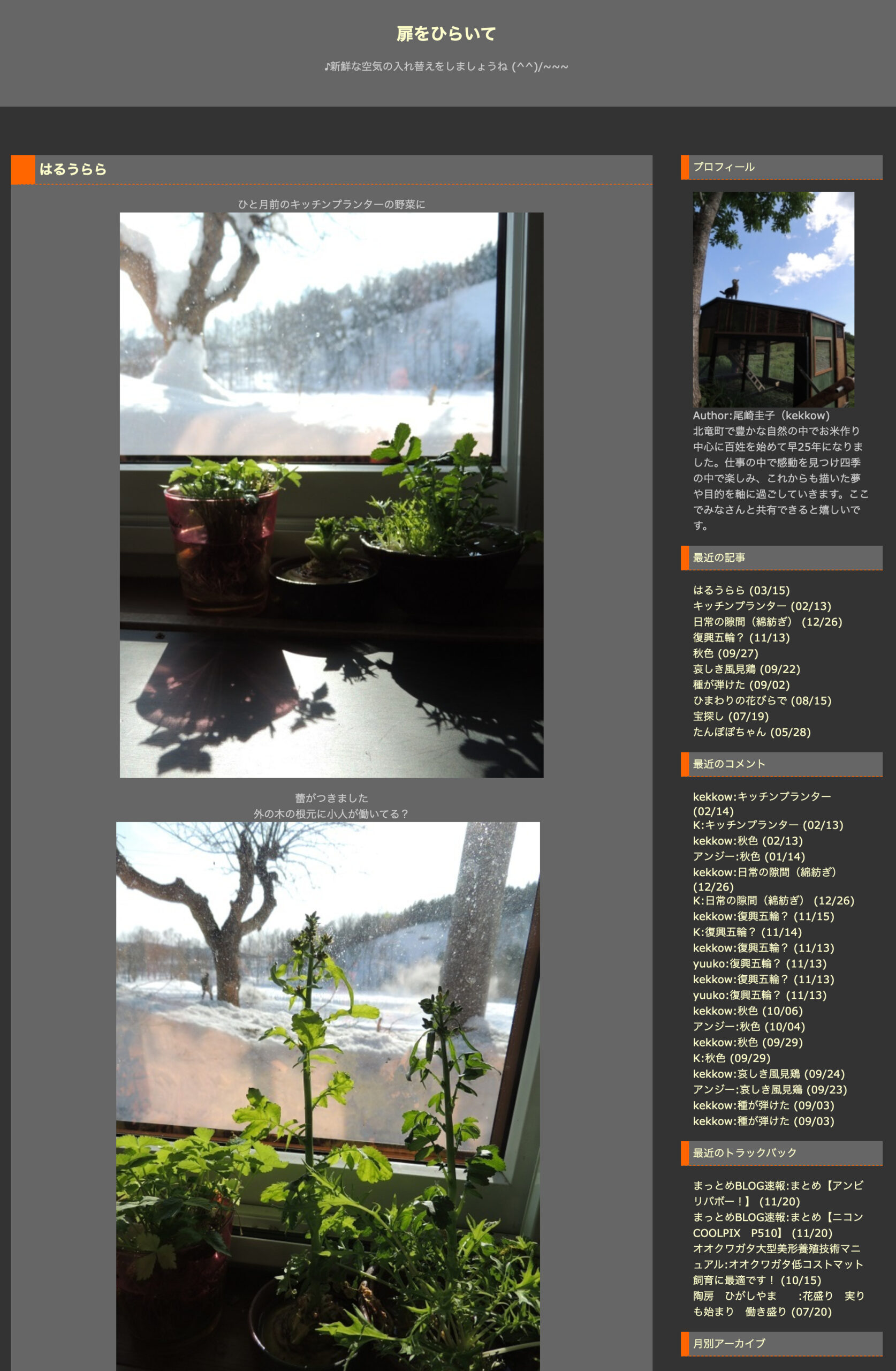 Bahar və Urara [Qapını Aç - Keiko Ozaki]