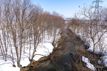 春の小川のせせらぎ