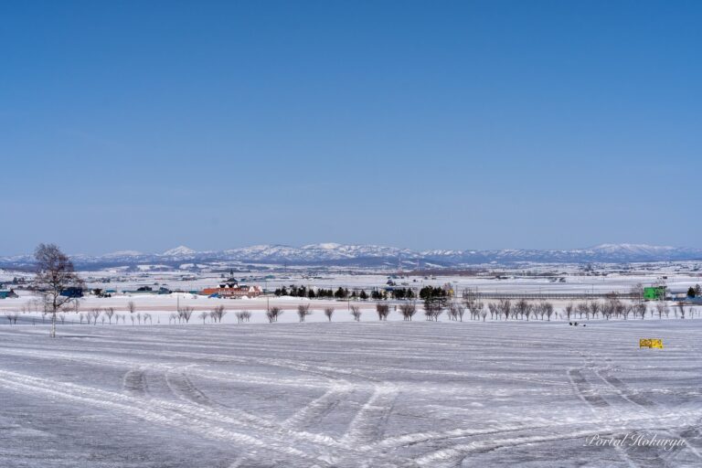 融雪剤模様を描くひまわりの里
