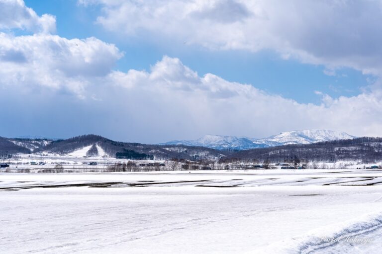悠々とそびえる恵岱岳