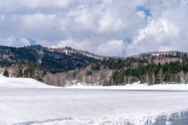 清々しい生命力に溢れる季節
