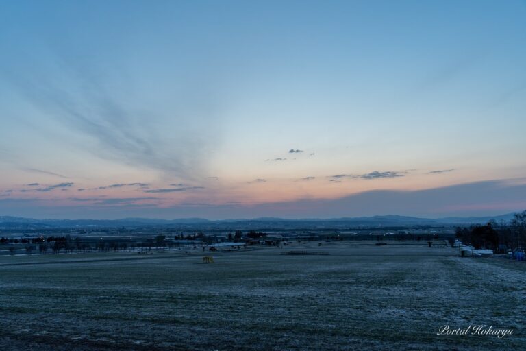 マジックアワーに染まるひまわりの里