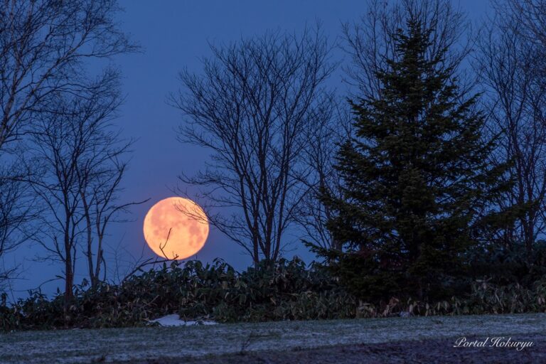 イースター満月