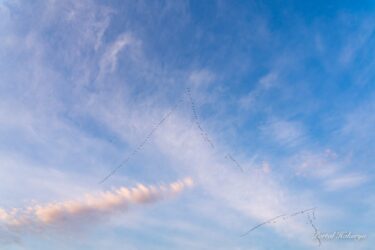 渡り鳥のＶ字飛行と空模様