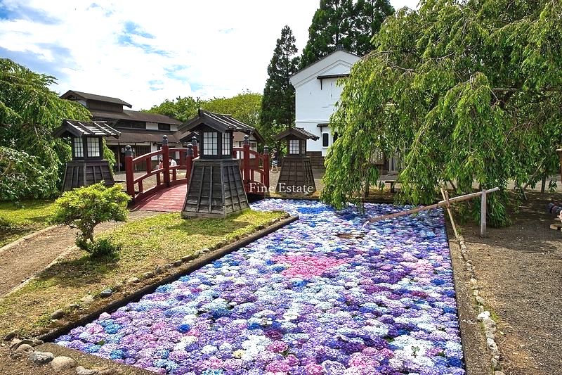 松前藩屋敷・浮き紫陽花(画像引用:有限会社ファインエステートHP)