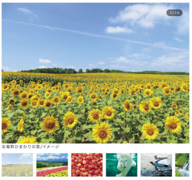 ≪帯広発着≫≪函館発着≫ 2つのお花畑とさくらんぼ狩り食べ放題(50分)北海道夏の思い出・3日間【阪急交通社】