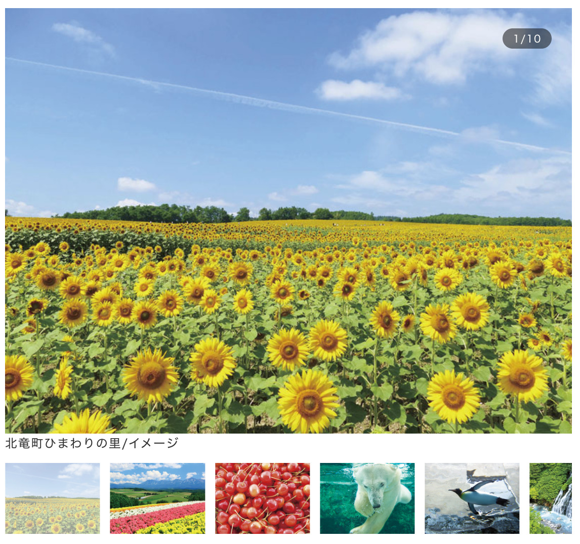 ≪帯広発着≫≪函館発着≫ 2つのお花畑とさくらんぼ狩り食べ放題(50分)北海道夏の思い出・3日間【阪急交通社】