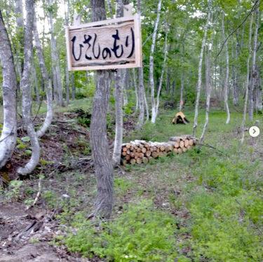 Şitake mantarı mı!? Sanırım öyle 😊 Doğru [Naganomori Aktivite Örgütü (Temsilci: Osamu Kato)]