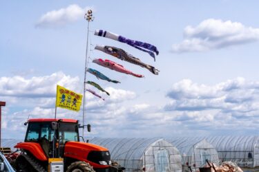 5月の空を泳ぐ鯉のぼり
