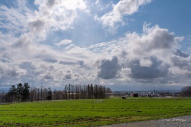 ひまわりの里の耕起作業