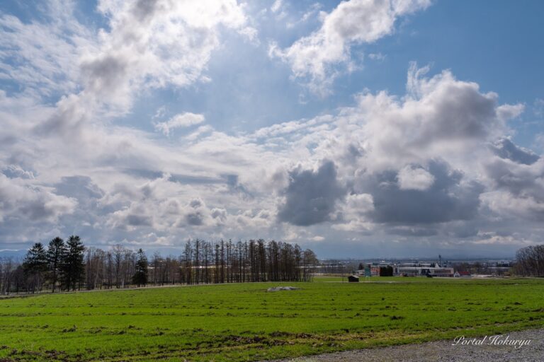 ひまわりの里の耕起作業