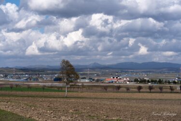 北竜町ひまわりの里の土壌づくり風景 2022