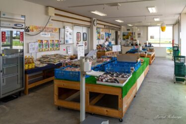 愛情たっぷり「みのりっち北竜」の旬野菜や手工芸品！