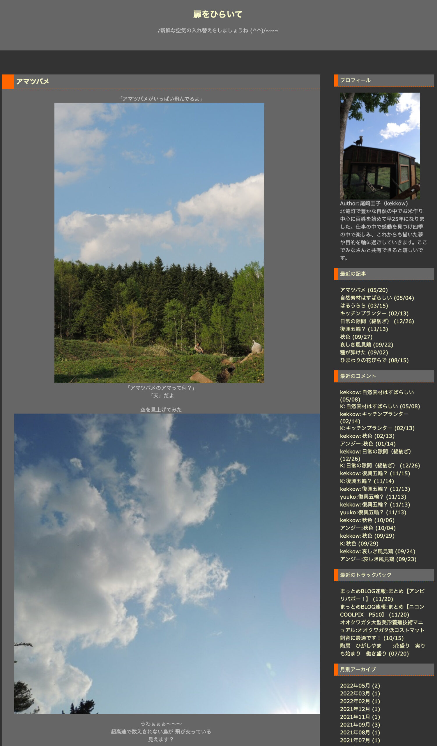 アマツバメ【扉をひらいて・尾崎圭子さん】