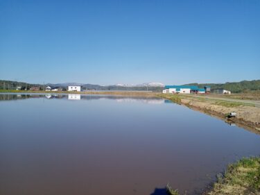 Chúng tôi đang hồi hộp kiểm tra các cánh đồng đã xây dựng để đảm bảo không có vấn đề gì cho đến khi việc trồng lúa hoàn thành an toàn [Hokuko Construction]