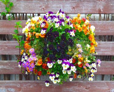 北竜町長 佐野豊 活動報告・5月20日（金）工事入札更新川補修工事外11件、北竜振興公社取締役会議案協議、田植え状況調査（町内一円）