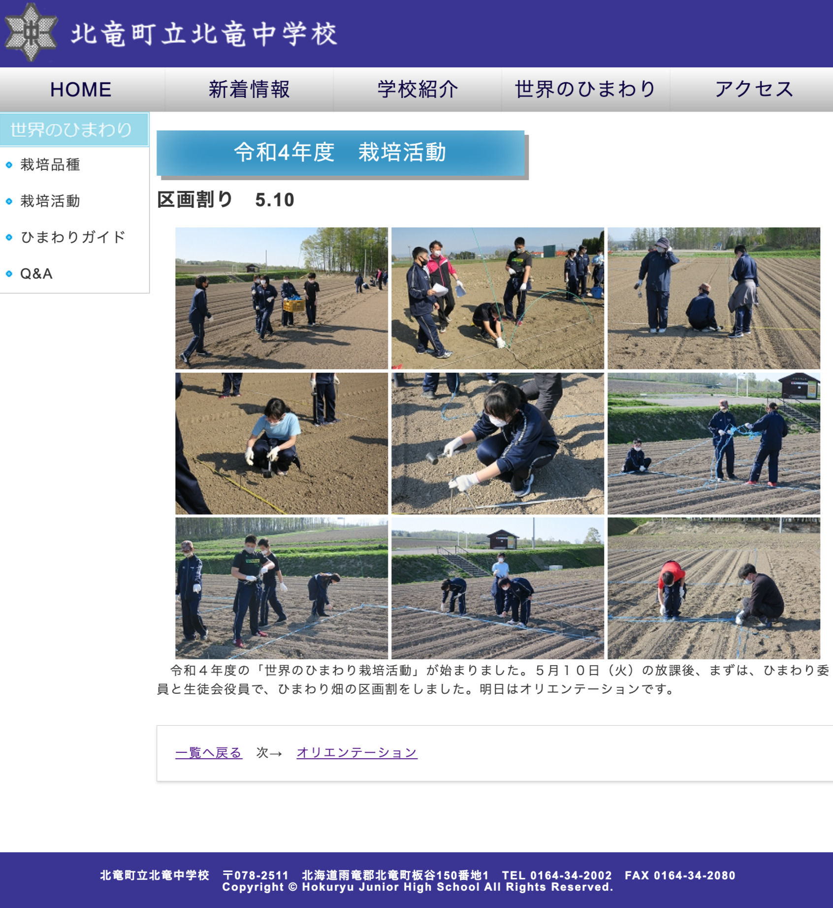 区画割り：世界のひまわり栽培活動【北竜中学校】