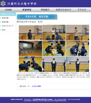 Định hướng hướng dương: Hoạt động trồng hoa hướng dương trên khắp thế giới [Trường trung học cơ sở Hokuryu]