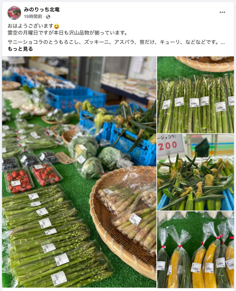 みのりっち北竜