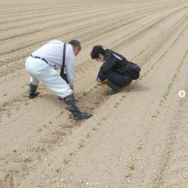 Məhsuldarlığımızı artırmaq üçün yerli uzatma mərkəzinin köməyinə müraciət etmək qərarına gəldik. Ümid edirik ki, əvvəlkindən daha yaxşı Kurosengoku soyası təqdim edə bilərik! [Kurosengoku Biznes Kooperativi]
