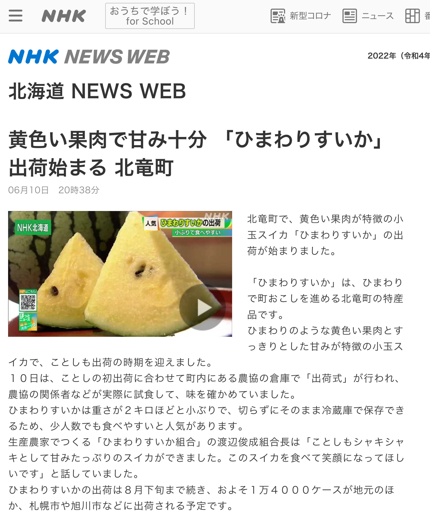 北竜町特産「ひまわりすいか」苗植え 黄色い果肉と甘みが特徴【NHK 北海道 NEWS WEB】