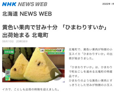 Kota Hokuryu, Hokkaido, telah mulai mengirimkan semangka Himawari yang berdaging kuning dan beraroma manis (NHK Hokkaido NEWS WEB).