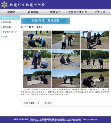 【世界のひまわり】シート敷き：ひまわりが見やすいように、歩くところにシートを敷きます（6.14）【北竜中学校】