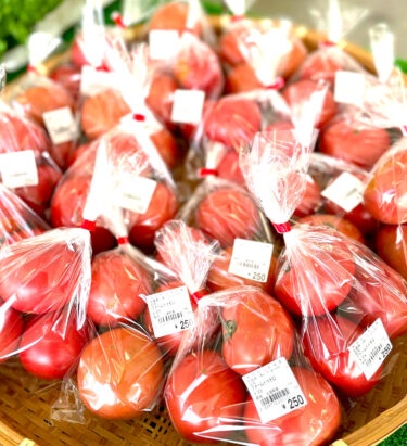 今日も初物があります。ファームトゥモロウさんのトマト 🍅 🍅 🍅 🍅 赤く美味しそうです ♪ ♪【みのりっち北竜】