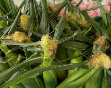 Bugün (28/6) da çok sayıda ürünümüz mevcut. Sunny Chocolat Çikolata, fasulye, domates, patlıcan vb. mevcuttur [Minorich Hokuryu]