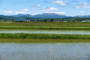初夏の爽やかな風景