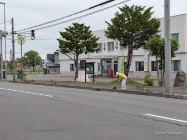 心がほんわり明るく和む瞬間