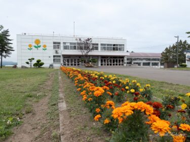 真竜小学校を飾る華麗なるフラワー！