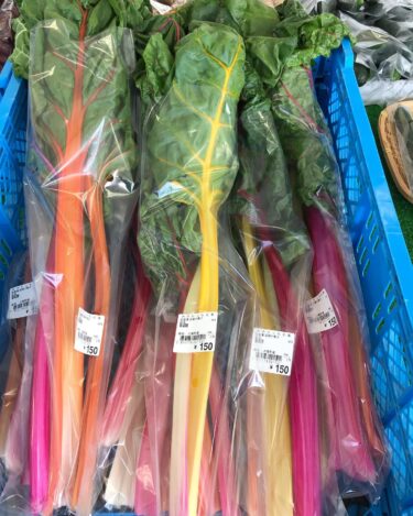 Pazı da ilk kez boy göstermeye başladı. Rengarenk ve çok hoş. Salatalarda ve sotelerde harika 🥗 [Minorich Hokuryu]