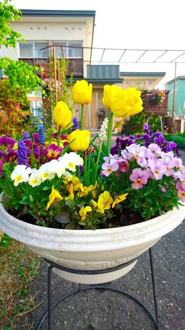 北竜町長 佐野豊 活動報告・5月31日（月）終日事務書類整理、北竜町集落支援員とミーティング