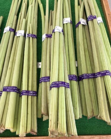 立派な青蕗が入りました。スナップエンドウ 今日のビール 🍺 のお供にいかがでしようか？【みのりっち北竜】