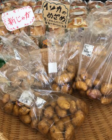 Yeni kartoflar, Incanome köpəkbalığı gəldi. İnka balacadır, məncə dərisi ilə qızardsanız dadlı olar. [Minoriç Hokuryu]