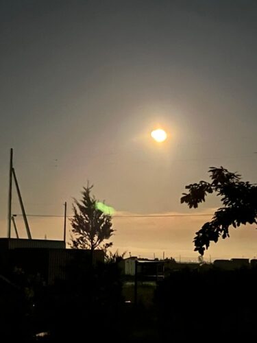 Bu gündən etibarən həftədə iki dəfə, çərşənbə axşamı və cümə axşamı məşq edəcəyik. Cənab S-nin əl istehsalı xor maskaları indi nümayiş olunur və getdikcə daha çox insan onları sınayır və onlarla birlikdə oxuyur [Hokuryu Town Günəbaxan Xoru]