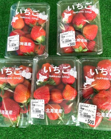 6月11日（土）苺 🍓🍓🍓 が初お目見えです。 大粒で美味しそう【みのりっち北竜】