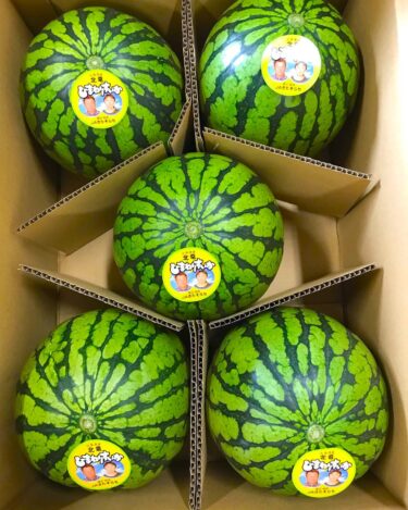 Dưa hấu hướng dương vào sáng chủ nhật ngày 12 tháng 6 🍉 Một số khách hàng đang tìm kiếm nó đã xếp hàng tại cửa hàng và mua nó ngay khi họ vào hàng [Minorich Hokuryu]