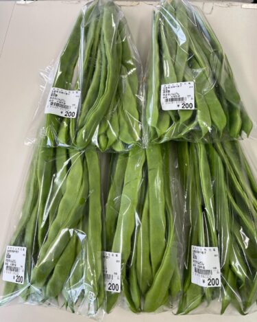 6月16日（木）沢山の品物がはいっています。平ざやインゲン、大きく美味しそうです ♪【みのりっち北竜】